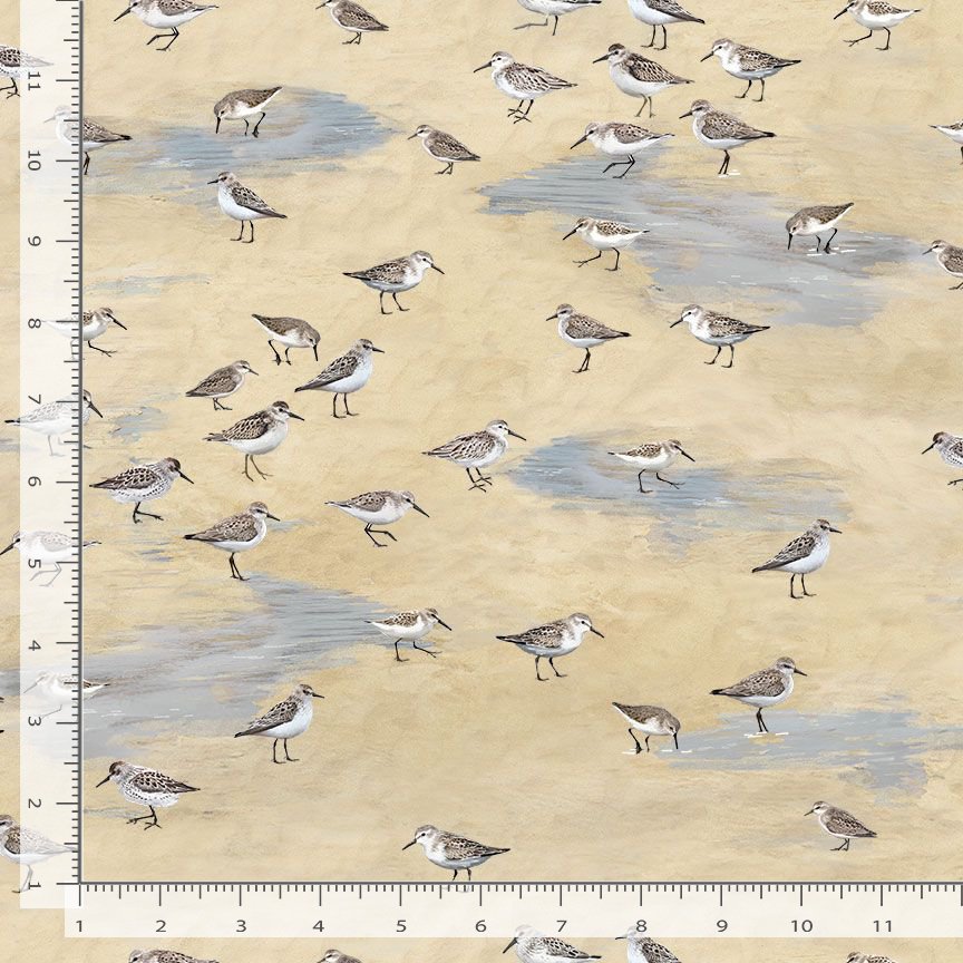 44" - Timeless Treasures - "Sandpipers - Sand" - 100% Cotton