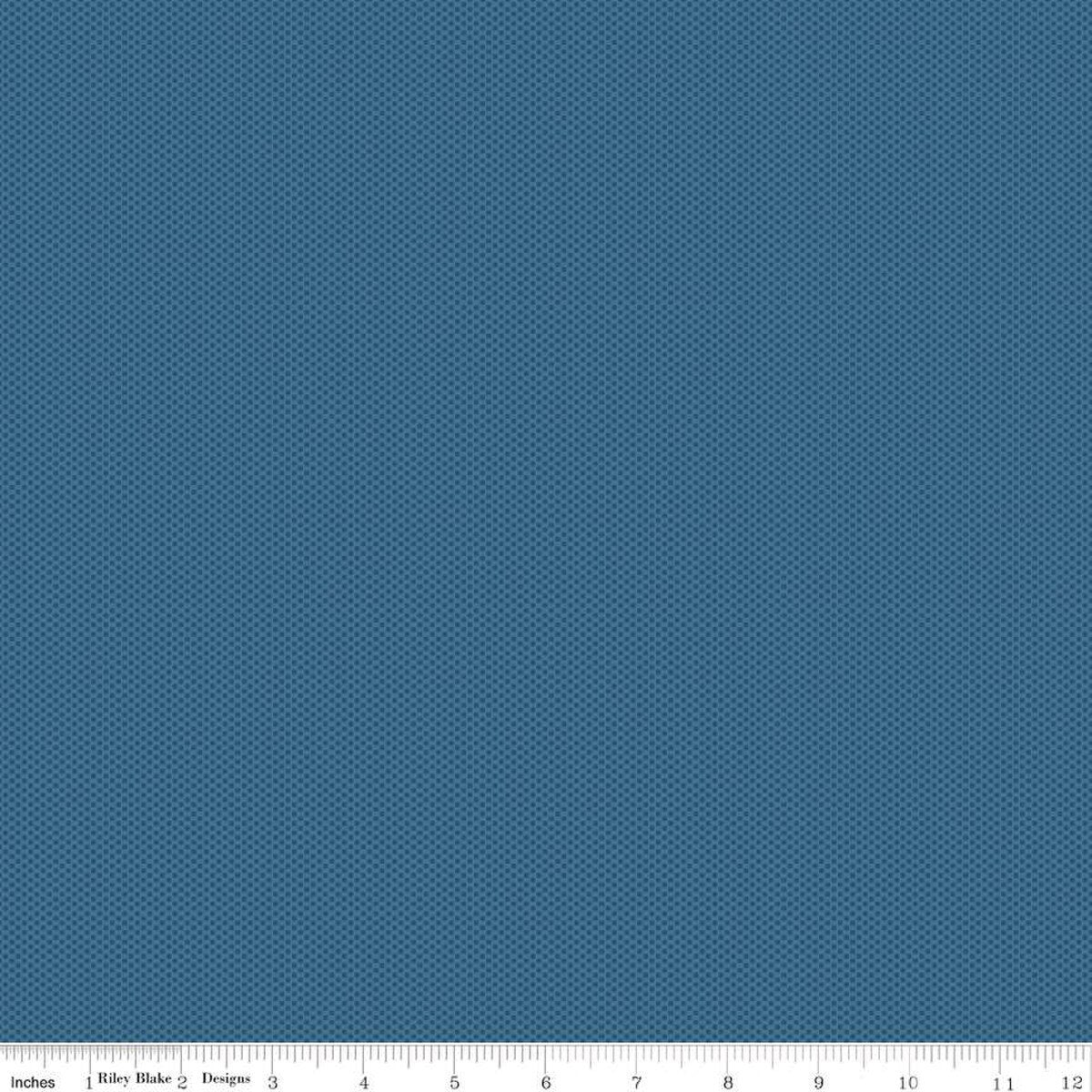 44" - Riley Blake - POParazzi "Denim" - 100% Cotton
