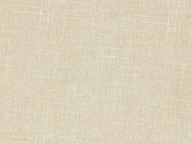 108" - Choice Supreme Backing - "Grain of Color" - Tan - 100% Cotton