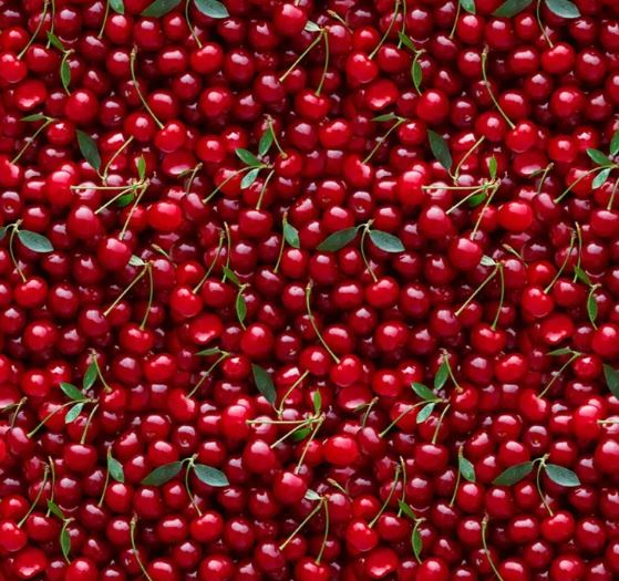 Windham Fabrics - Cherries