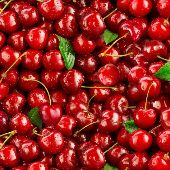 44" -Elizabeth's Studio - Food Festival - "Cherries" - 100% Cotton
