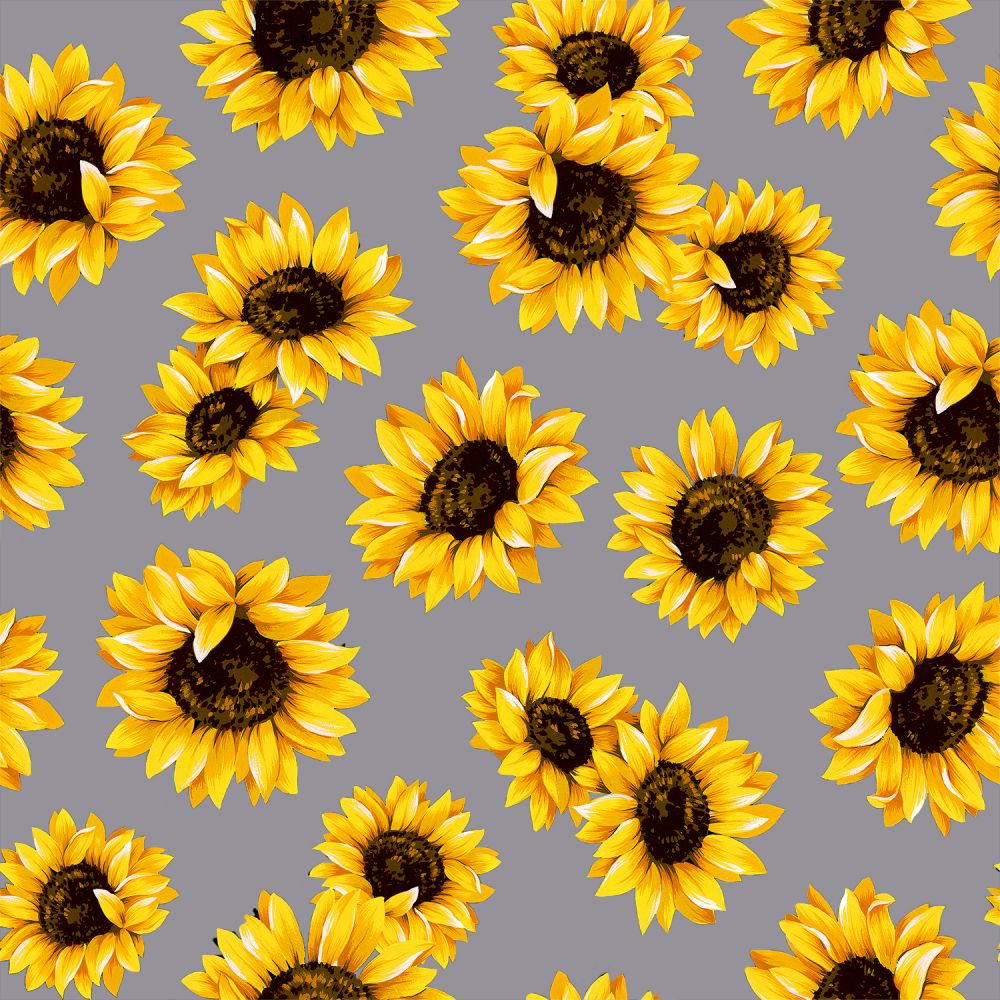 44" - "Sunflower Dance -Light Gray" - 100% Cotton