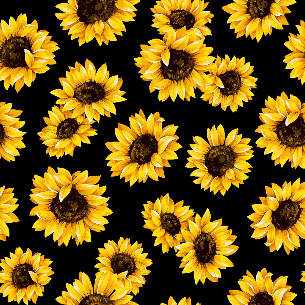 44" - "Sunflower Dance - Black" - 100% Cotton