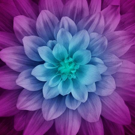 Panel - Hoffman Fabrics - "Aurora Dream" Bigger Flower 108in x 108in- 100% Cotton