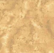 108"-blenders-camel-smoothie-3-yard-cut 100% Cotton Quilt Back Fabric