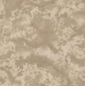 108" Blenders Natural Smoothie - 3 Yard Cut  100% Cotton Quilt Back Fabric