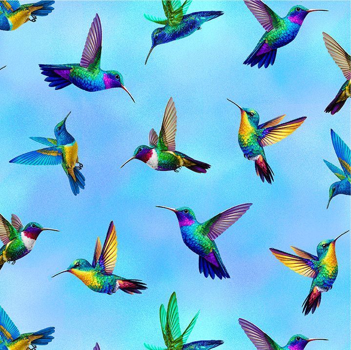 44"  - Timeless Treasures - FLYING HUMMINGBIRDS -  100% Cotton