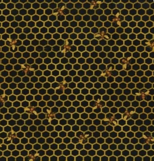 44"  - "Bees on Honeycomb" - 100% Cotton