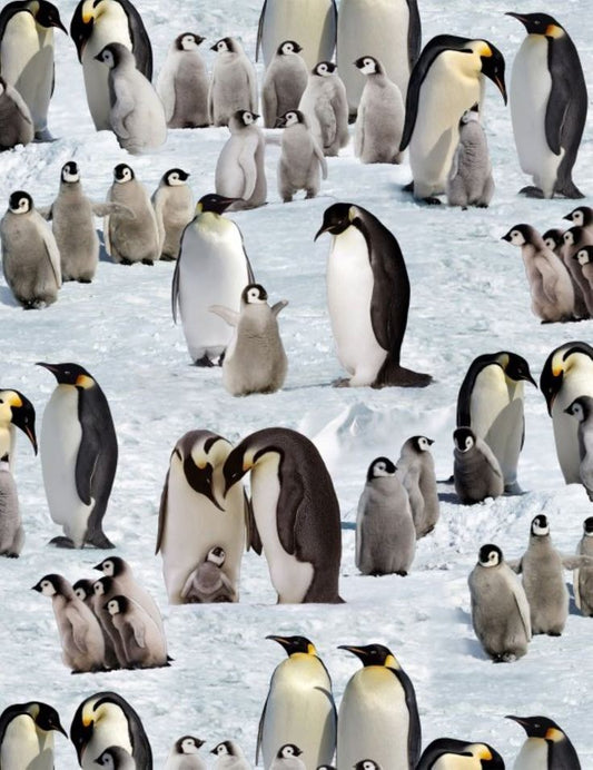 44"-Penguins Emperor on Snow and Ice Elizabeth's Studio Cotton Fabric