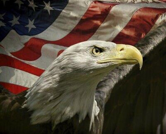 Panel - 35" Fabric Panel - Patriotic Looking Far Eagle and Flag - 100%-cotton
