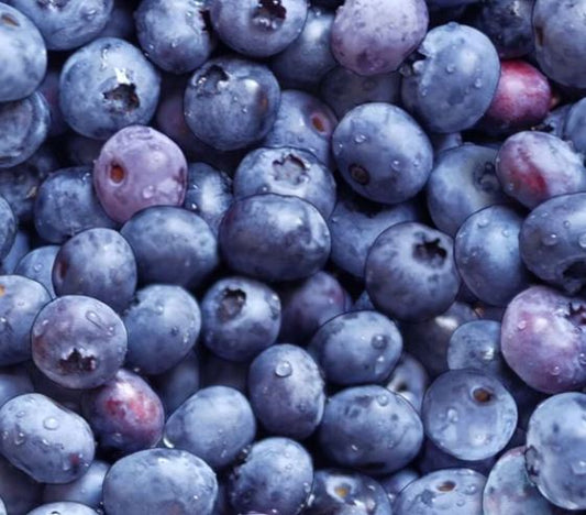 44"-Elizabeth's Studio "Blueberries" 100% cotton