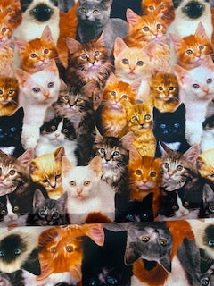 44"-Cats, Kittens -allover-print