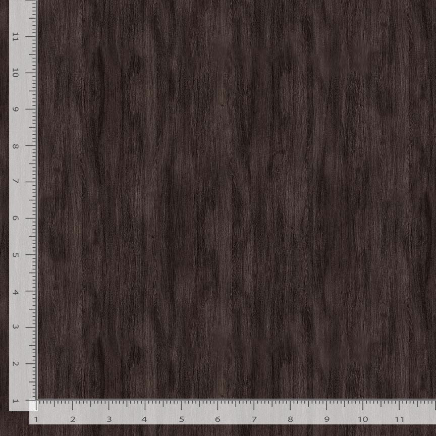 44"  - Timeless Treasures -  Katie "Bark" -  100% Cotton