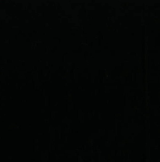 44"  - Michael Miller -  "Cotton Couture"  - Black -  100% Cotton