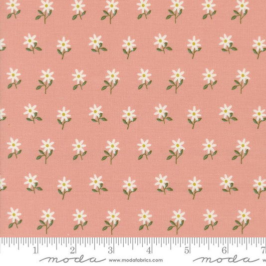 44"  - Imaginary Flowers  "Blossom" - 100% Cotton