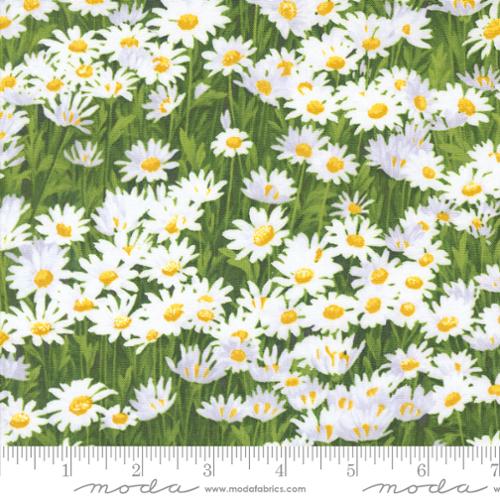 44"  - Moda Fabrics - Wildflowers "Daisies" -  100% Cotton