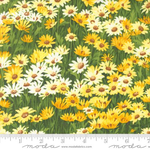 44"  - Moda Fabrics - Wildflowers "Sunshine" -  100% Cotton