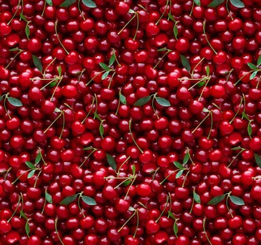 Windham Fabrics - Cherries