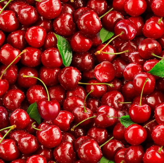 44" -Elizabeth's Studio - Food Festival - "Cherries"  - 100% Cotton
