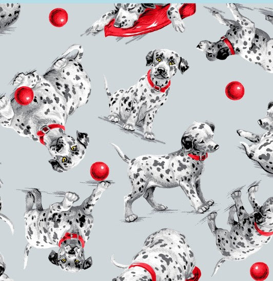 44" - AE Nathan - Flannel  - Dalmatian Dogs  - 100% Cotton