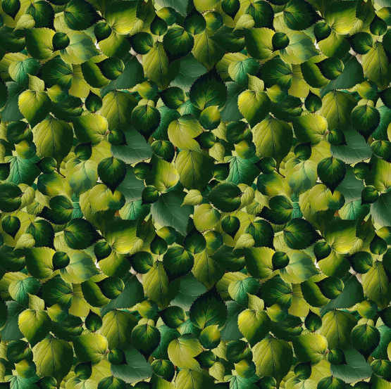 44"  - Blank Quilting - "Babies in the Wild" -Green Leaves  -  100% Cotton