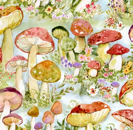 44"- "Mushroom Field" -  100% Cotton