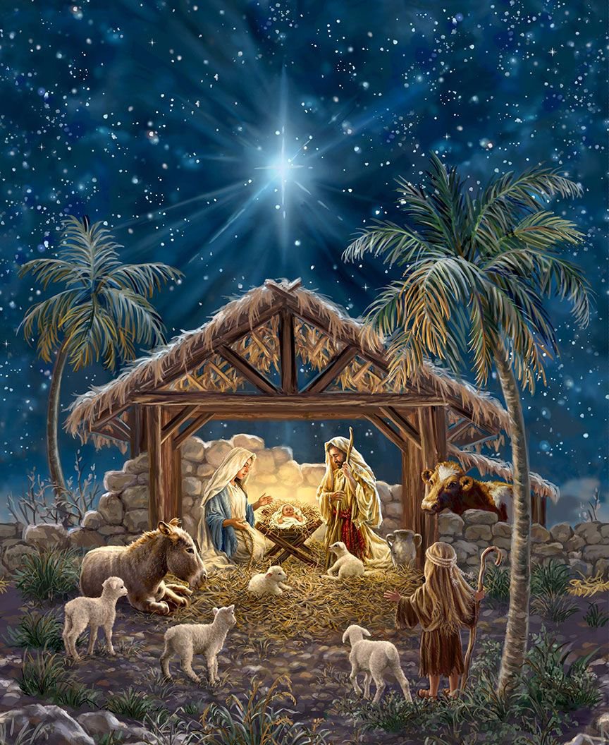 Timeless Treasures - Nativity Panel - 36"x 44"